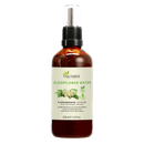 Elderflower water (Vlierbloesemwater)